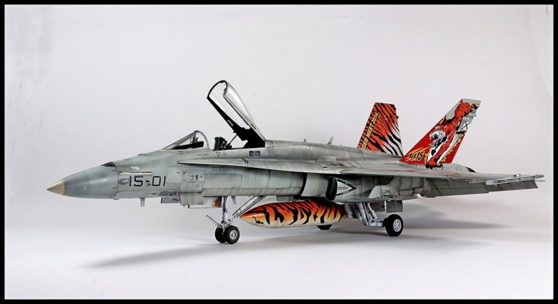EF-18AM Spanish Air Force 1/48 Kinetic. - Page 2 Dsc04310