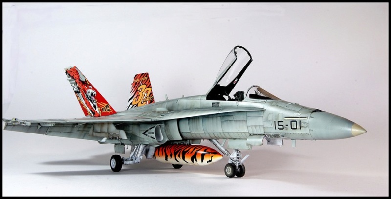 EF-18AM Spanish Air Force 1/48 Kinetic. - Page 2 Dsc04311