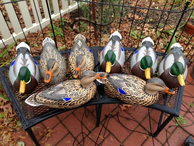 Cedar Mallard decoys for sale Photom10