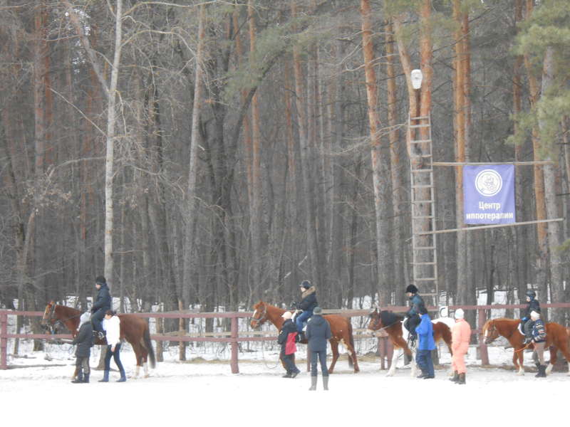 23 марта прошли соревнования в центре иппотерапии "Живой мир" по программе спец. олимпиады 13643310