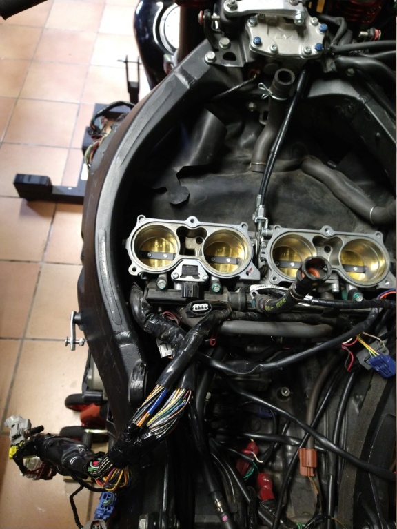 Remplacement faisceau Honda CBR SC59 Img_2081