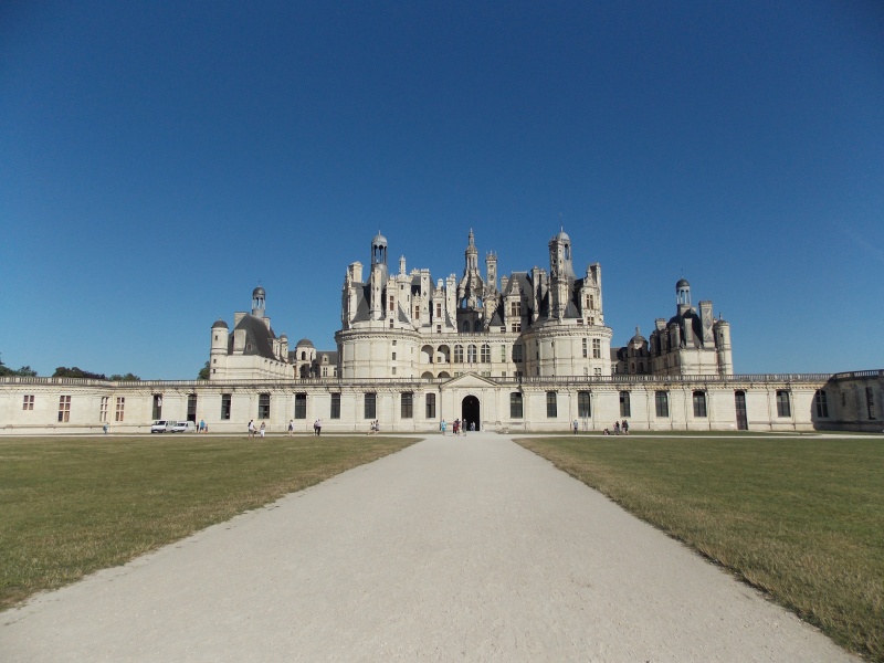 Les châteaux de la Loire Dscn0920