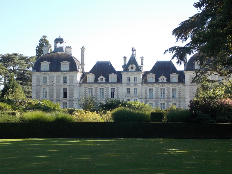 Les châteaux de la Loire Dscn1134