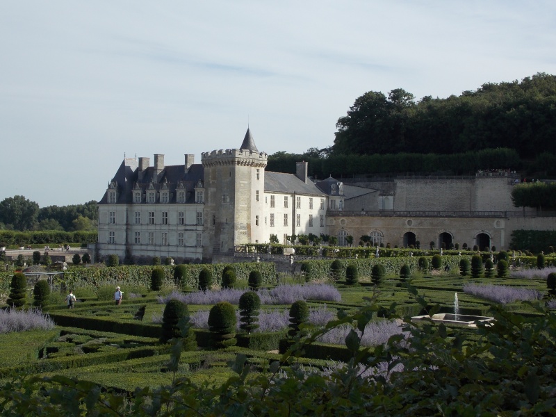 Les châteaux de la Loire Dscn1316