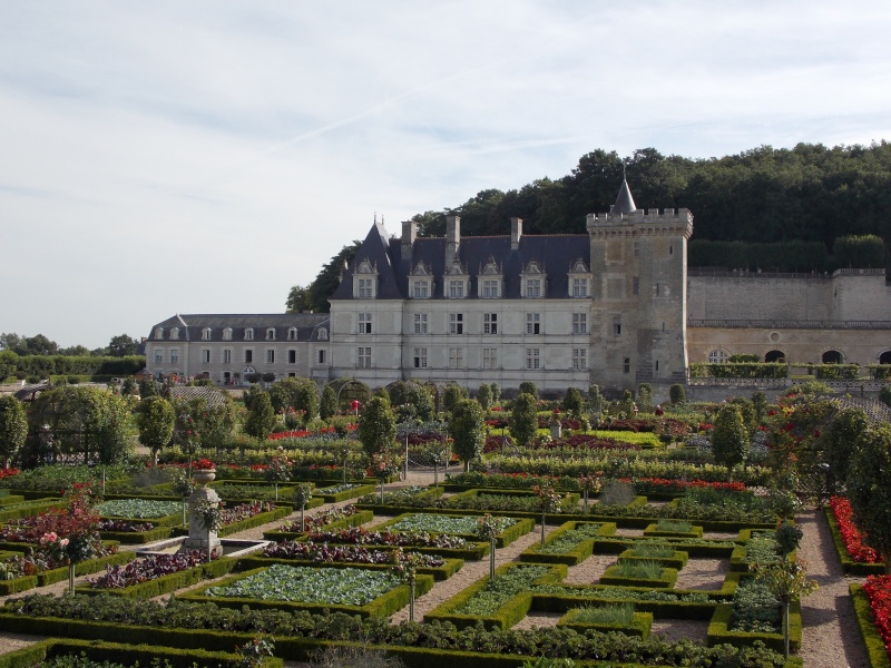 Les châteaux de la Loire Dscn1318
