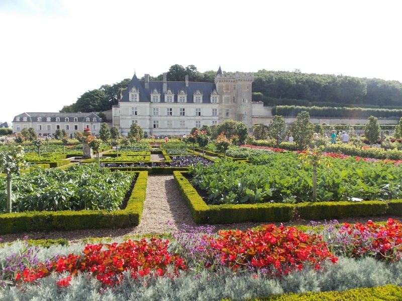 Les châteaux de la Loire Dscn1320