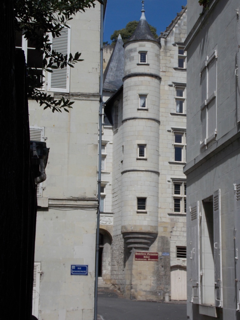 Les châteaux de la Loire Dscn1335
