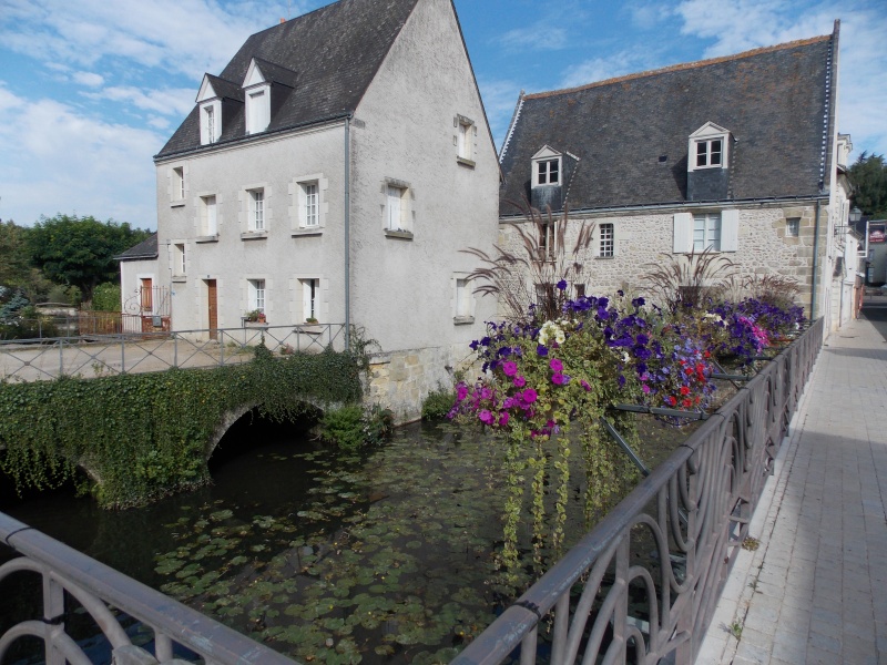 Les châteaux de la Loire Dscn1427