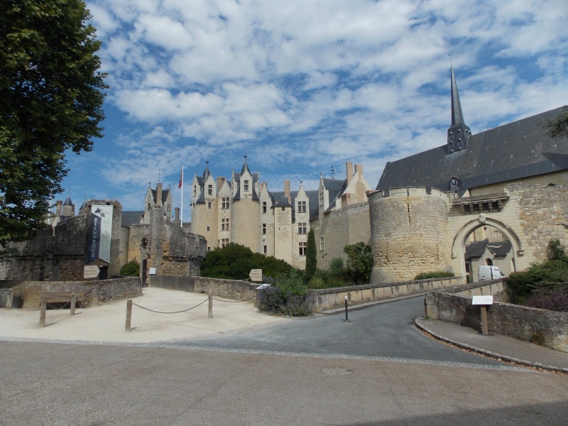 Les châteaux de la Loire Dscn1432