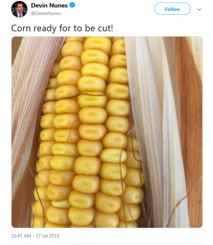 Q Drops 27 July 2019 Corn10