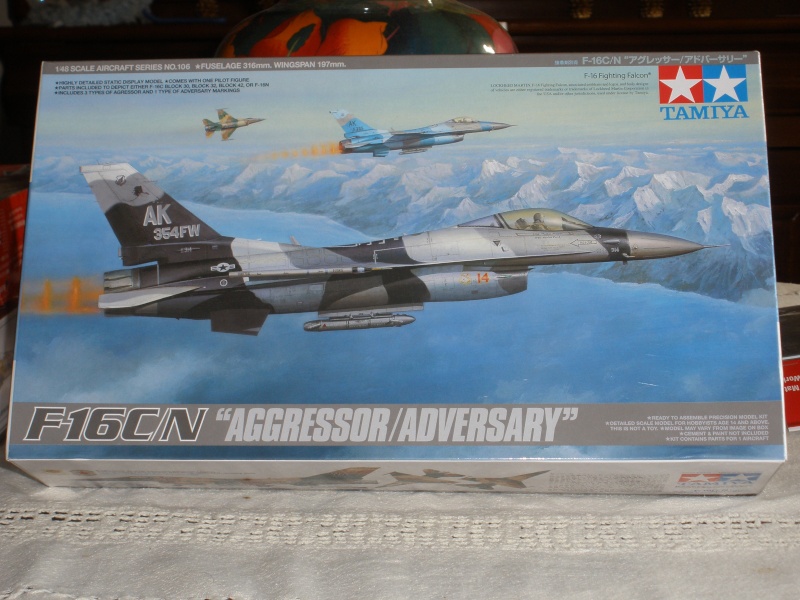 F-16 "Aggressor/Adversary" Tamiya 1/48. P2210110