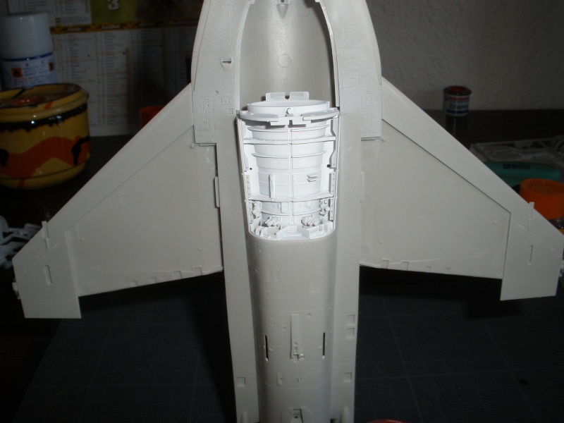 F-16 "Aggressor/Adversary" Tamiya 1/48. P9010221