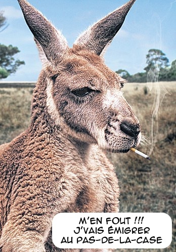 [Article 'the age national" 13/09/13] l'australie veut remplacer la clope par l'ecig ? - Page 3 X5110