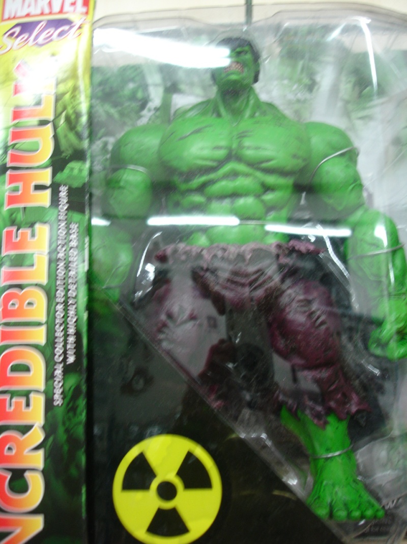 Marvel Select The Incredible Hulk Action Figure Dsc06914