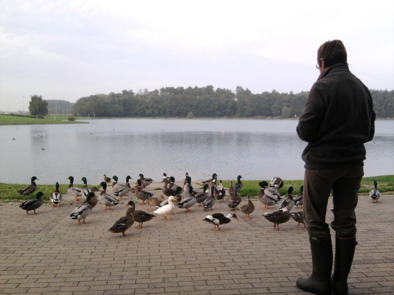 Jeannine et ses canards ! ! ! Photo012