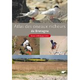 ORNITHOLOGIE : Une liste ddie aux oiseaux - Page 9 Ni10