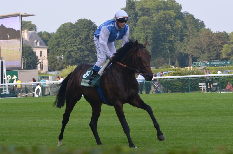 Le Compteur de Victoire (Craon) / 2 Dsc_0819