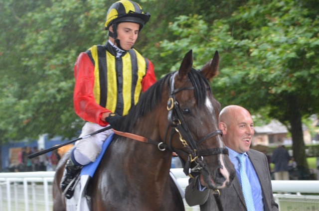 Prix du Haras de Fresnay-le-Buffard - Jacques Le Marois 2013 Elusiv10