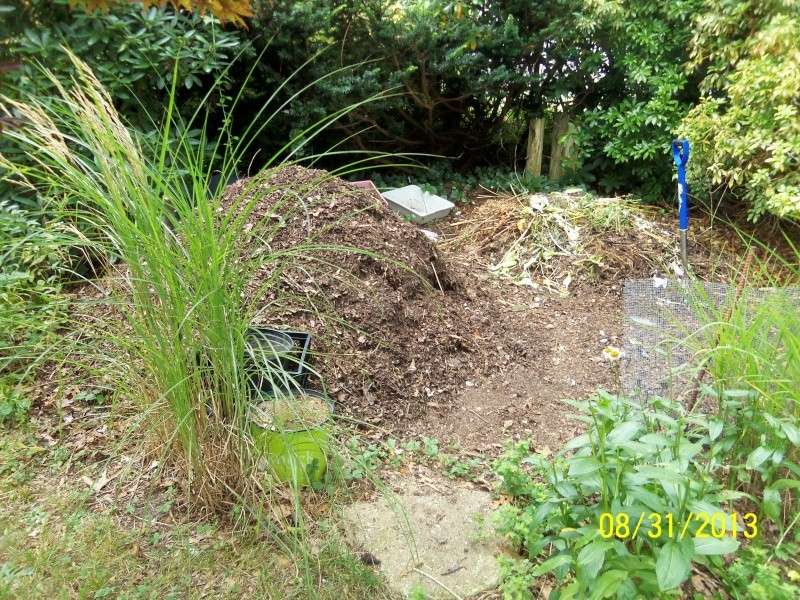 How big have you made your Biggest compost pile? 100_9414