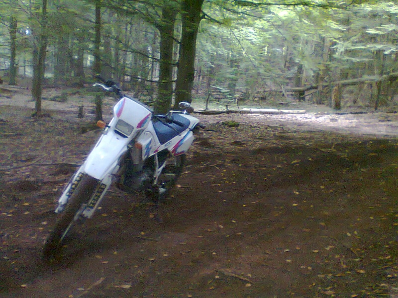 Première sortie off road en 600 TT .... Photo024