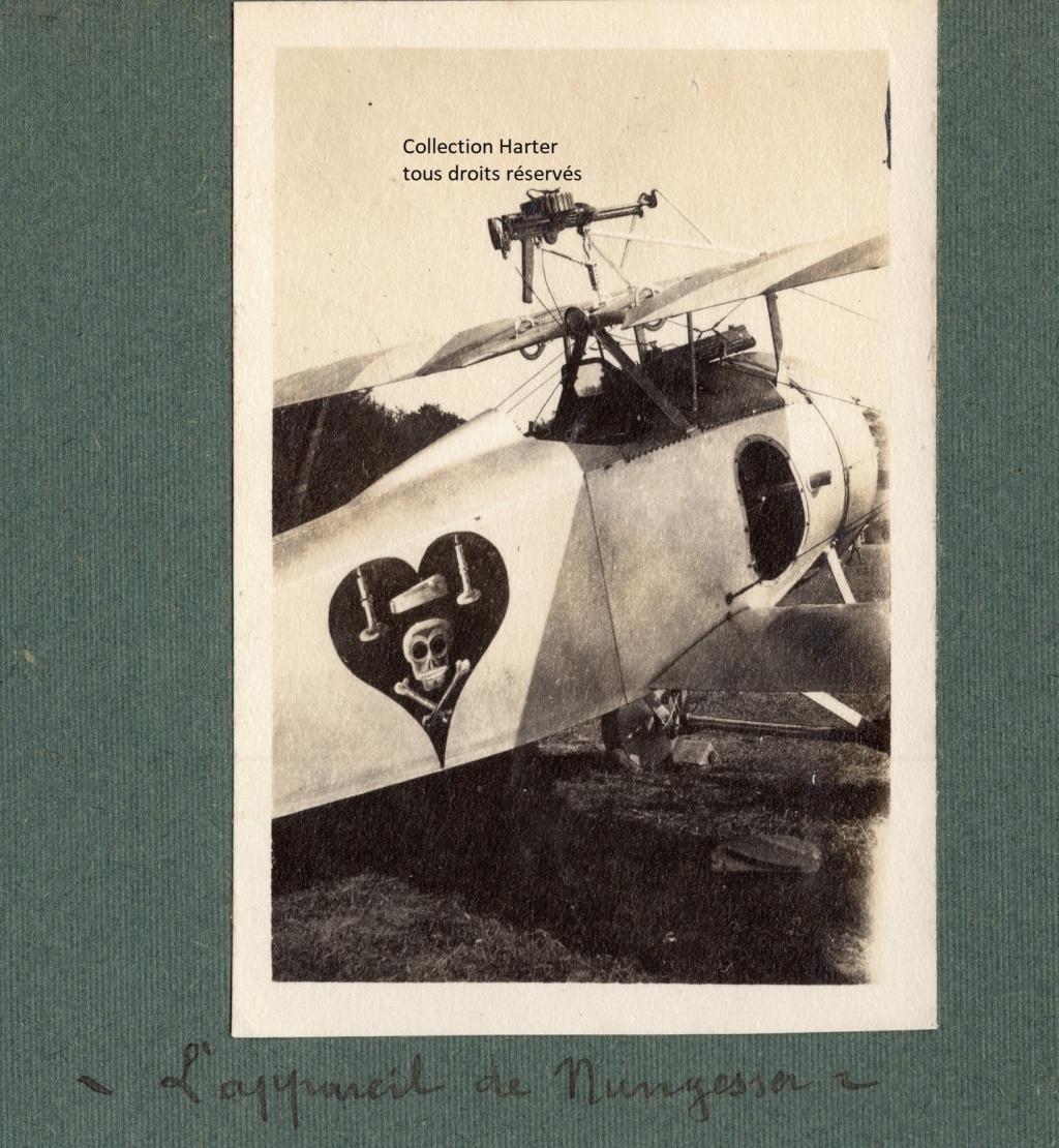 Photographies d'avions ww1, Collection privée HARTER Img16710