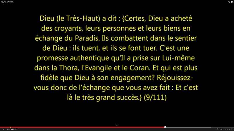 Existent ils des houris (hommes) pour les femmes jihadistes? Sans_t10