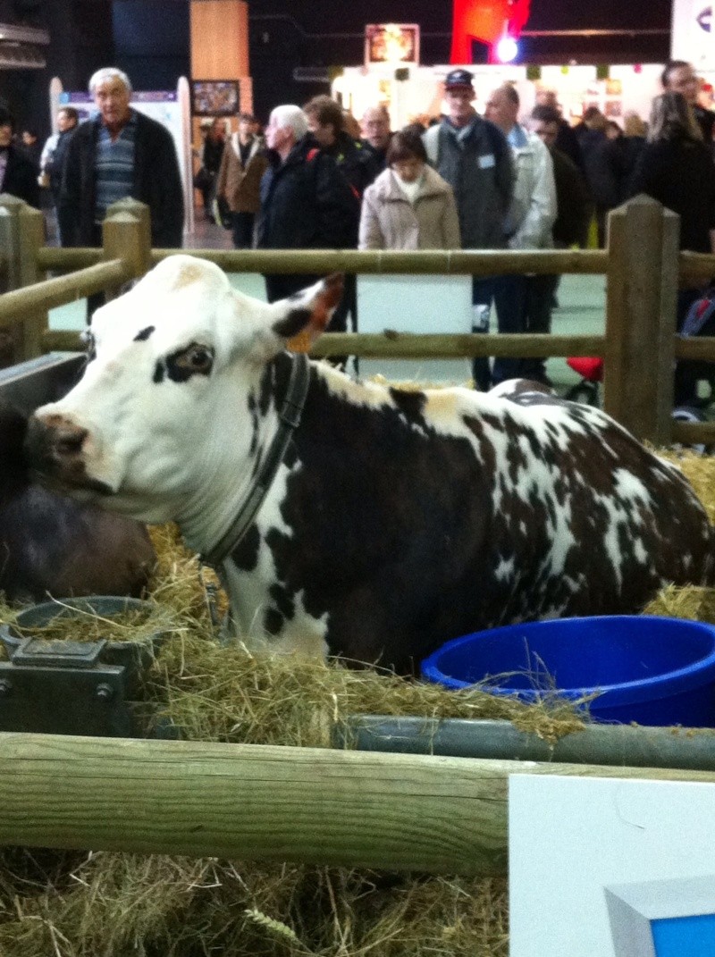 Retromobile 2013. Image16