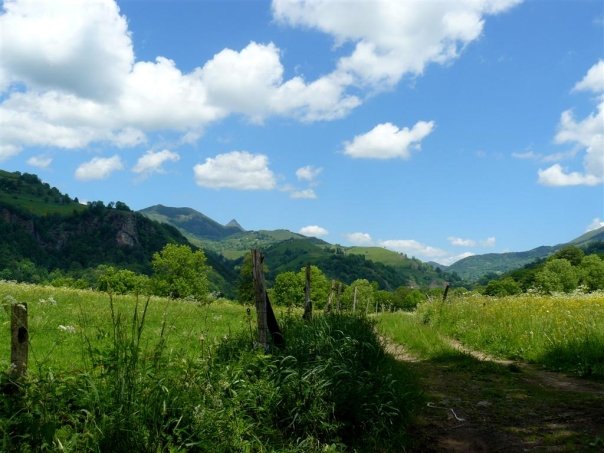 Balades dans le vert Cantal 4511_111