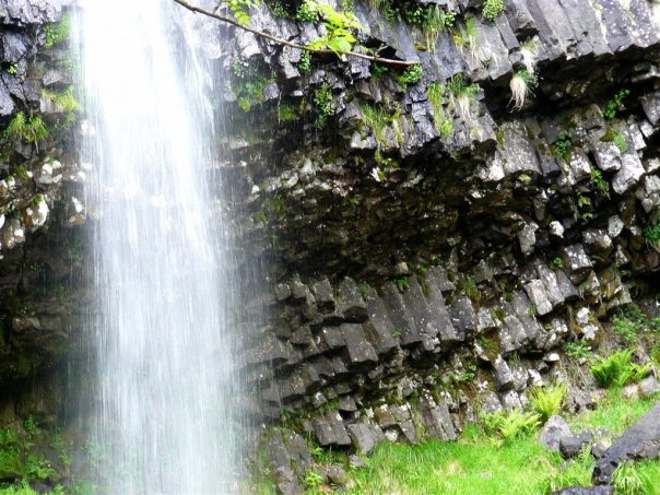 Balades dans le vert Cantal 4511_112