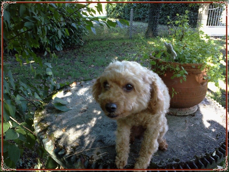 Kookie dans sa famille . - Page 4 22092011