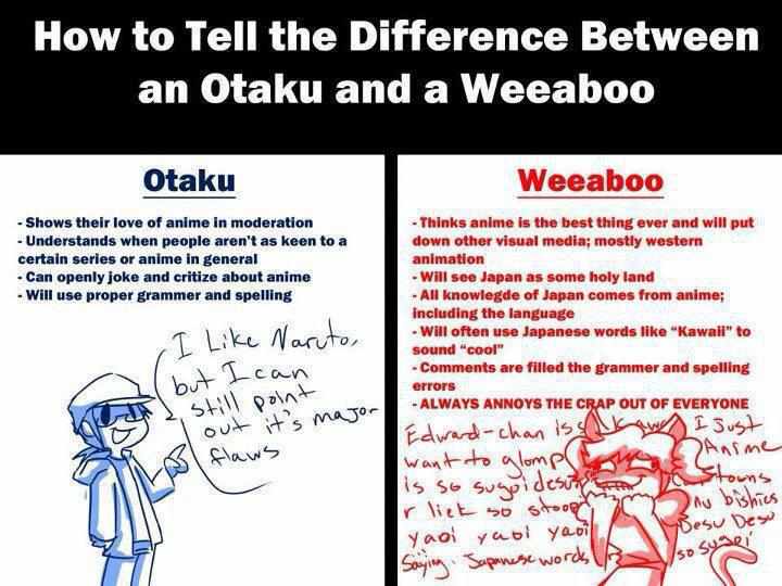 Are You Sure that You're Really an Otaku? Weeabo10