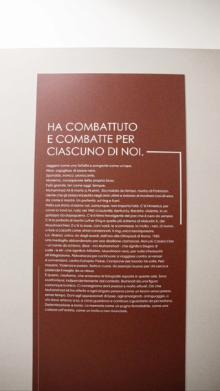 FuoriAtlantico - Mostra Muhammad Ali-PAN Palazzo delle Arti Napoli 20459016