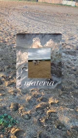 materiaTERRA - MATERIA (TERRA) Mengon57
