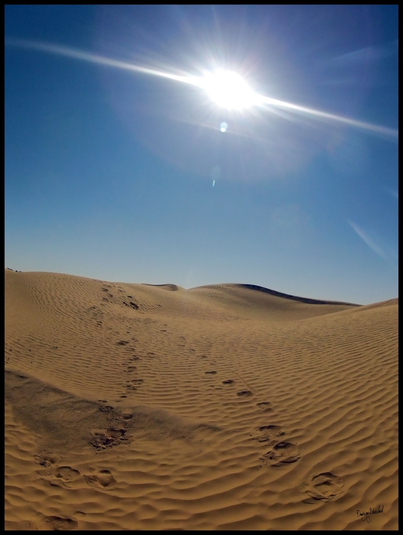 Sahara vs Colorado dunes Gopro210