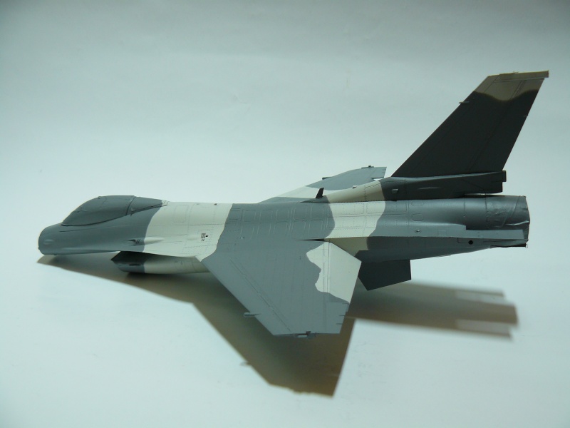 F-16C/N“AGGRESSOR/ADVERSARY”, Tamiya 1/48 P1060061
