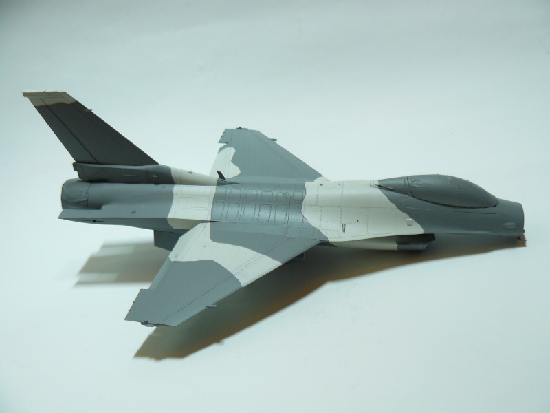 F-16C/N“AGGRESSOR/ADVERSARY”, Tamiya 1/48 P1060062