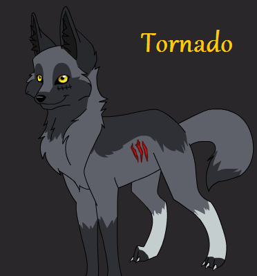 Tornado the Explorer Tornad10