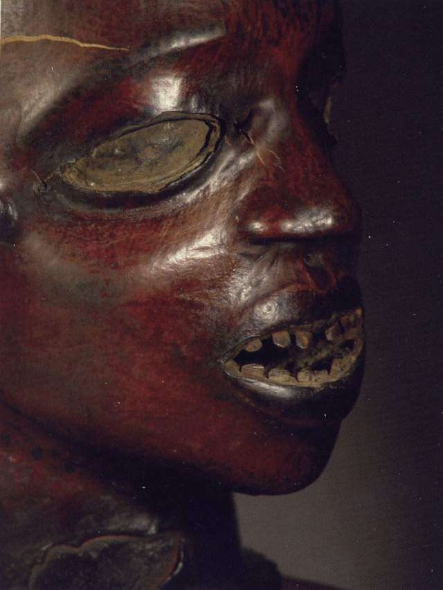 Ekoi/ Ejagham people, Ekpe society, Skin-covered wood mask headdress, Nigeria, Cross River Region Carrer15