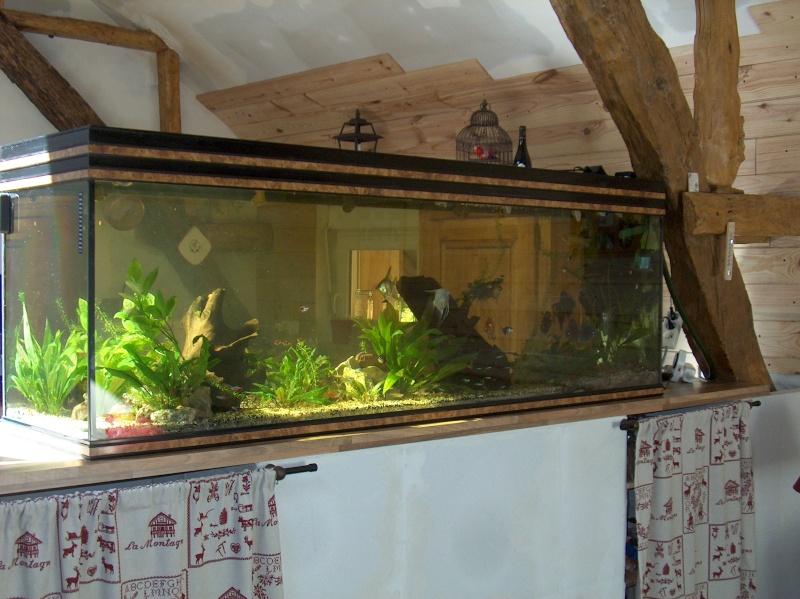 Essai photo Hpim3511