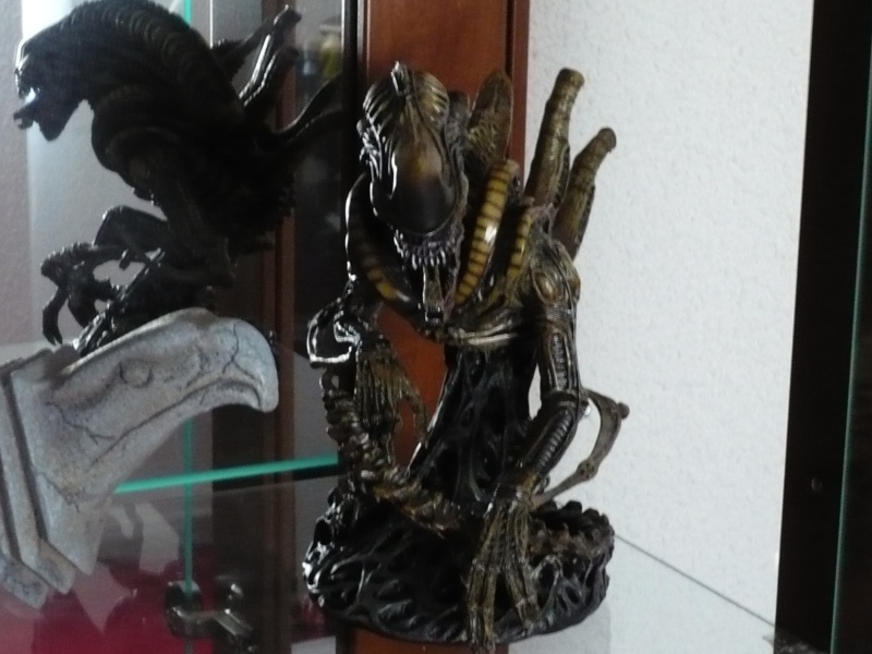 Collection n° 447 : DARKSLYV MAJ 20 février 2014 SCAR HOT TOYS PAGE 1 P1000310