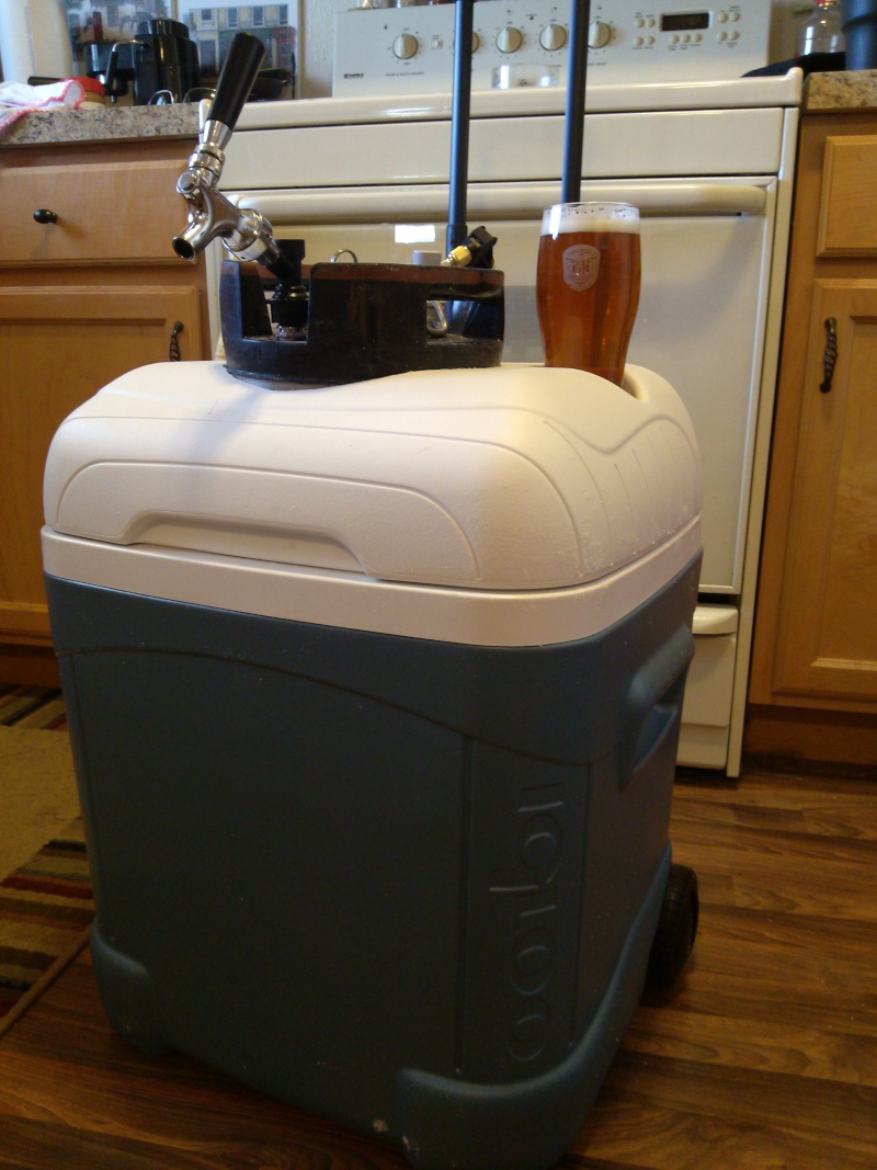 Portable Kegerator 04181310