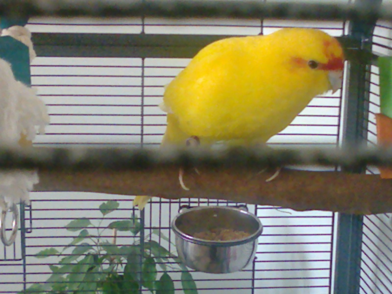 coucou tout le monde Photo013