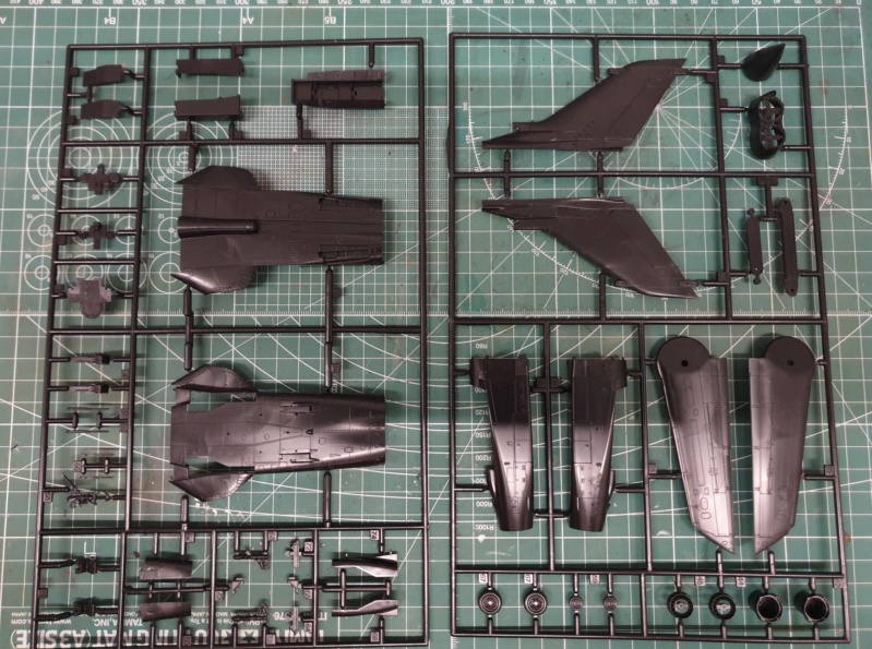 meninho's Tornado "Black Panther", 1:72 20221170
