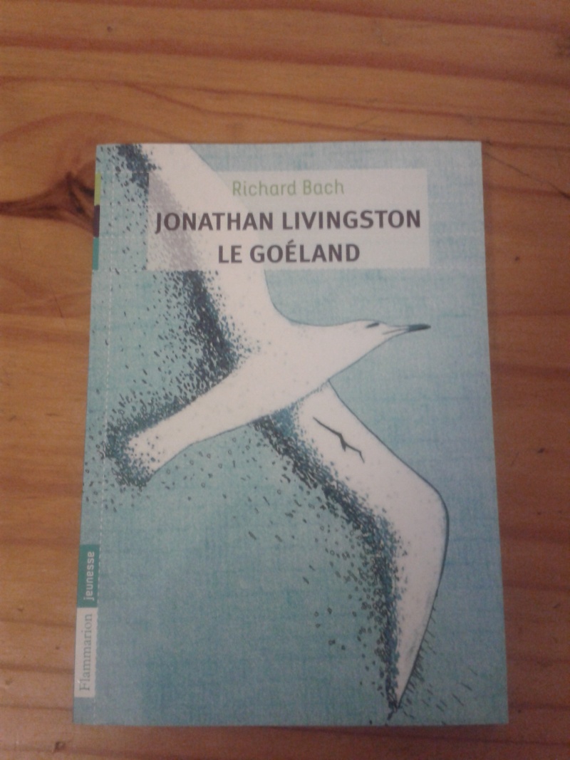 Johnatan Livingston, Le Goeland 2013-026