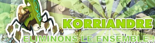 Une salade de Korriandre ? Korria11