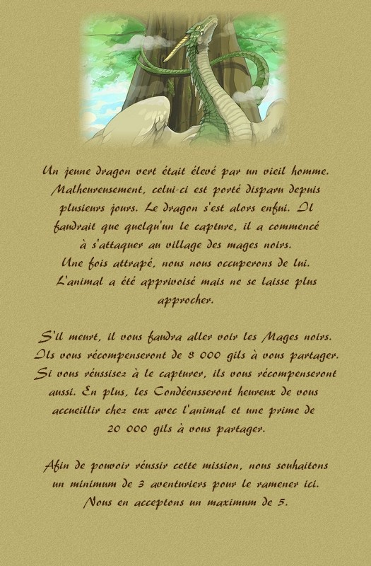 A la recherche d'un jeune dragon Dragon10