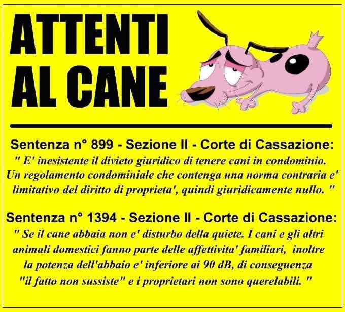 Tenere il cane in appartamento? il cane abbaia? Attent10