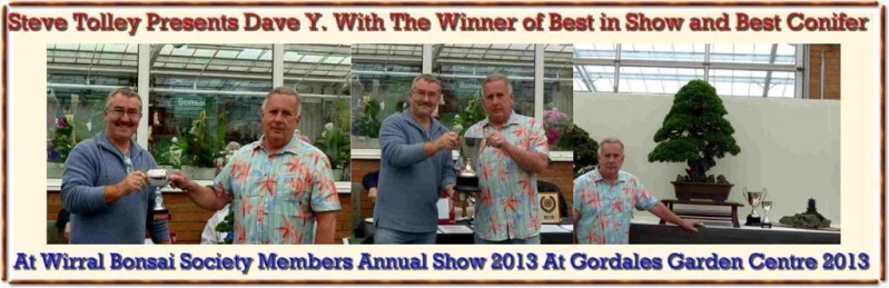 Wirral Bonsai Society Members Annual Show Results and Complete Show 2013 Dave_y10