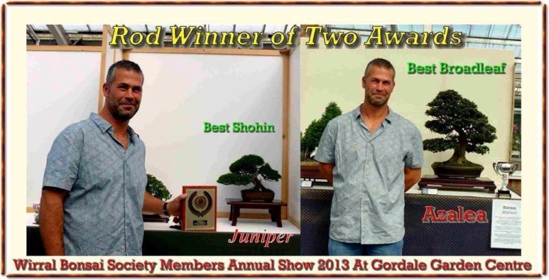 Wirral Bonsai Society Members Annual Show  Results and Complete Show 2013 Rob_wi10