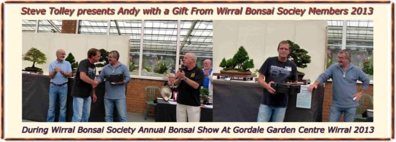 Wirral Bonsai Society Members Annual Show  Results and Complete Show 2013 Steve_10